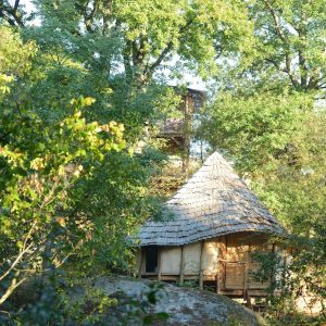 Cabane en bois au milieu de la nature, avec un toit en pente et entourée darbres.