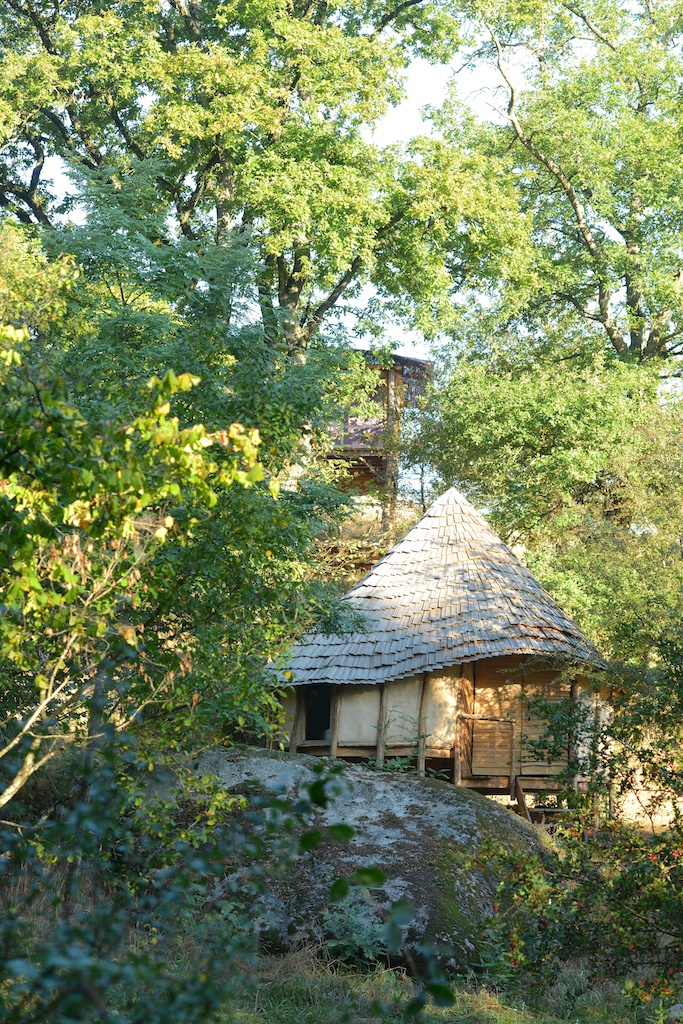 Cabane en bois au milieu de la nature, avec un toit en pente et entourée darbres.