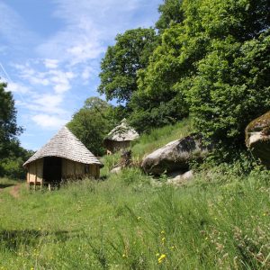 Hébergement insolite en cabane, entouré de verdure et de rochers naturels.