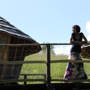 Cabane en bois avec terrasse, entourée de verdure et dun ciel bleu.
