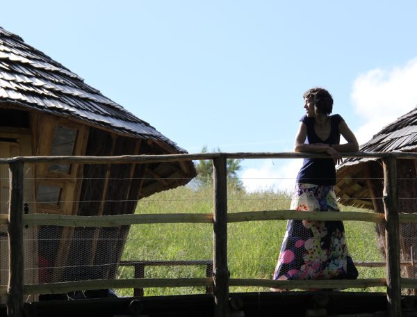 Cabane en bois avec terrasse, entourée de verdure et dun ciel bleu.
