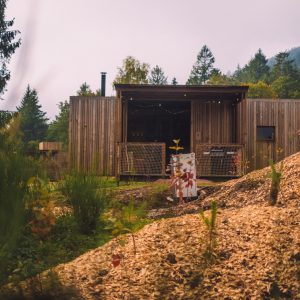 Cabane en bois moderne, entourée de verdure, avec une ambiance chaleureuse et accueillante.
