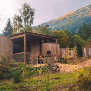 Cabane en bois moderne, entourée de verdure et de montagnes colorées par l'automne.