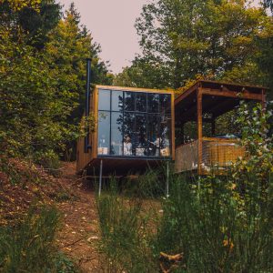 Cabane moderne en bois avec grandes baies vitrées, nichée au cœur de la nature verdoyante.