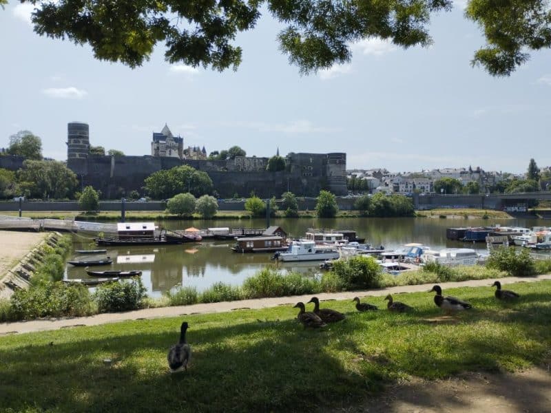 Charmant gîte au bord de la rivière, avec vue sur le château et des canards paisibles.