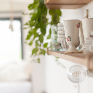 Charmant hébergement insolite avec étagères en bois, vaisselle vintage et verdure apaisante.