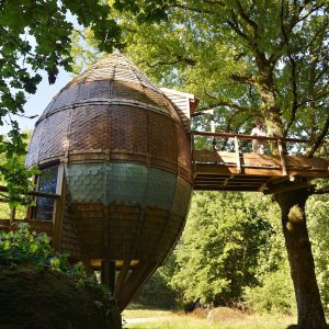 Cabane dans les arbres en bois, perchée sur un arbre, entourée de verdure.