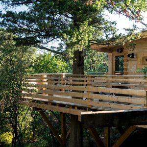 Cabane dans les arbres avec terrasse en bois, entourée de verdure luxuriante.