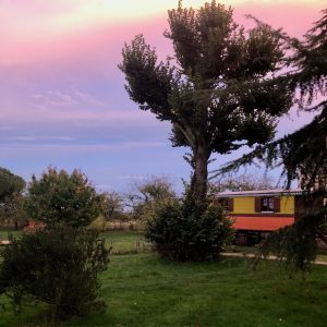 Chalet coloré au coucher du soleil, entouré darbres et de verdure luxuriante.