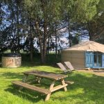 Yourte spacieuse avec un coin détente, entourée d'arbres et d'un bain nordique.