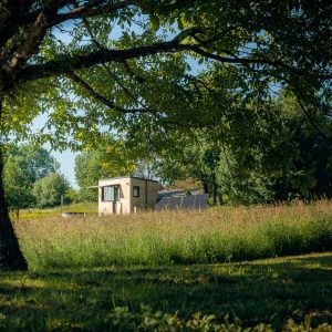 Cabane en bois nichée dans un champ verdoyant, entourée d'arbres majestueux.