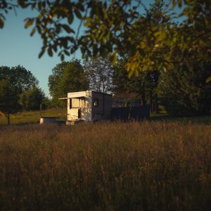 Tiny house en bois, nichée dans un champ verdoyant, entourée d'arbres et de fleurs sauvages.