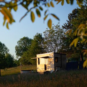 Cabane en bois lumineuse, entourée de verdure, offrant un cadre paisible et naturel.