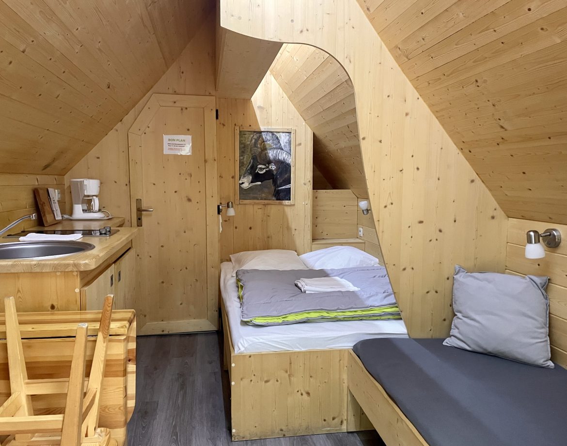 Chalet en bois chaleureux avec lit simple, coin cuisine et ambiance cocooning.