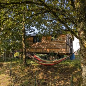 Cabane en bois perchée, entourée d'arbres, avec un hamac suspendu pour se détendre.