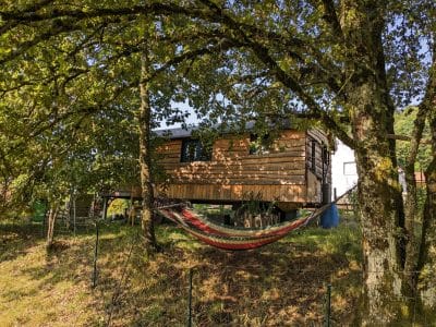 Cabane en bois perchée, entourée d'arbres, avec un hamac suspendu pour se détendre.