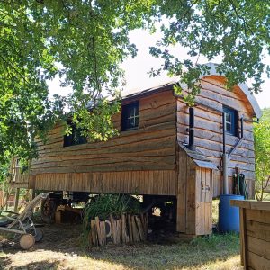 Cabane en bois surélevée, entourée darbres verdoyants et dun jardin accueillant.