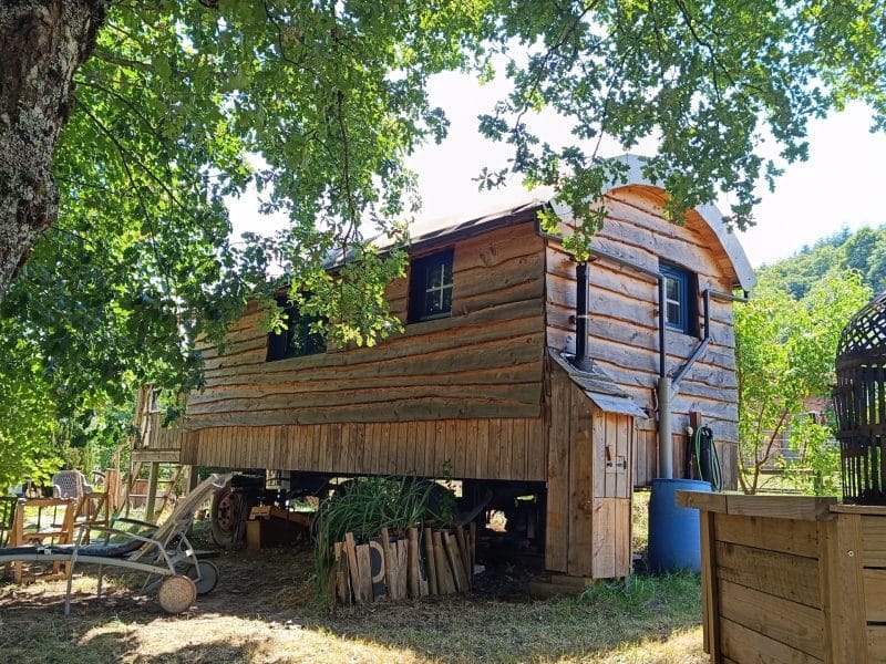 Cabane en bois surélevée, entourée darbres verdoyants et dun jardin accueillant.