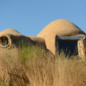 Hébergement insolite en forme de dôme, entouré de végétation sauvage.