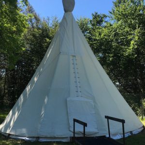 Tente tipi spacieuse, entourée darbres verdoyants sous un ciel bleu.