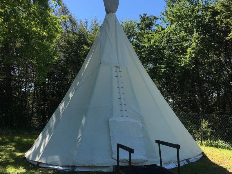 Tente tipi spacieuse, entourée darbres verdoyants sous un ciel bleu.