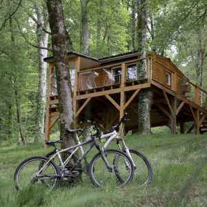 Cabane sur pilotis en bois, entourée d'arbres, avec vélos stationnés au premier plan.