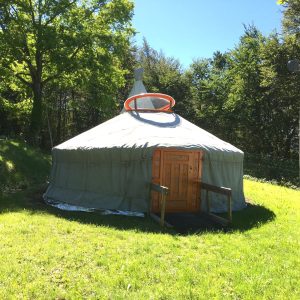 Yourte spacieuse au milieu de la nature, entourée darbres verdoyants.