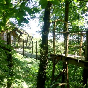 Cabane dans les arbres, accessible par un pont suspendu, entourée de verdure luxuriante.
