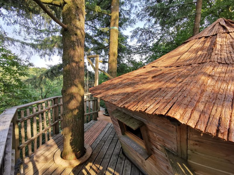 Cabane perchée dans les arbres, toit en chaume, entourée de verdure et de calme.