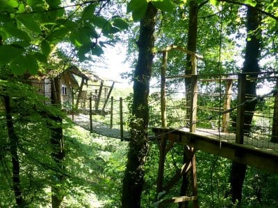 Cabane dans les arbres, accessible par un pont suspendu, entourée de verdure luxuriante.
