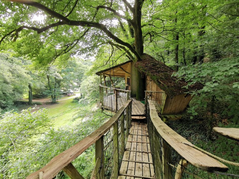 Cabane dans les arbres, perchée au milieu d'une forêt verdoyante, accessible par un pont en bois.