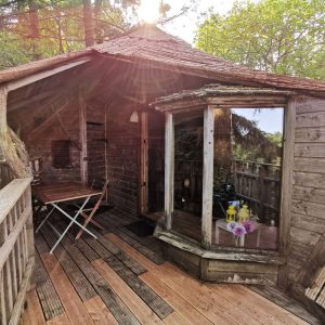 Cabane en bois perchée, avec terrasse en bois et grandes fenêtres, entourée de verdure.