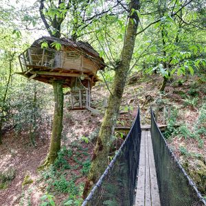 Cabane dans les arbres perchée, accessible par un pont suspendu, entourée de verdure.