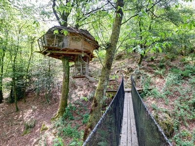 Cabane dans les arbres perchée, accessible par un pont suspendu, entourée de verdure.
