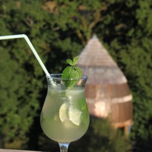 Cocktail rafraîchissant sur le balcon dun hébergement en pleine nature.