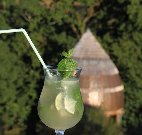 Cocktail rafraîchissant sur le balcon dun hébergement en pleine nature.