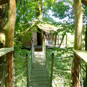 Cabane dans les arbres, accessible par un pont suspendu, entourée de verdure luxuriante.