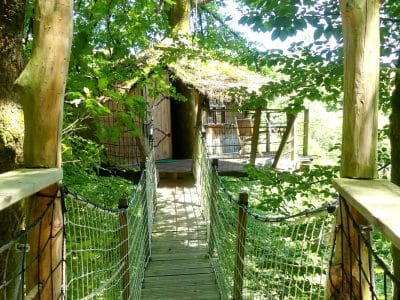 Cabane dans les arbres, accessible par un pont suspendu, entourée de verdure luxuriante.