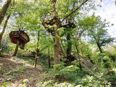 Cabane dans les arbres, perchée entre les feuillages verdoyants, offrant une vue imprenable.