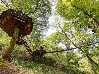 Cabane dans les arbres perchée, entourée de verdure, avec une passerelle suspendue.