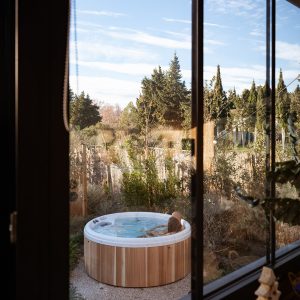 Hébergement insolite avec jacuzzi en bois, vue sur un jardin verdoyant et ciel dégagé.