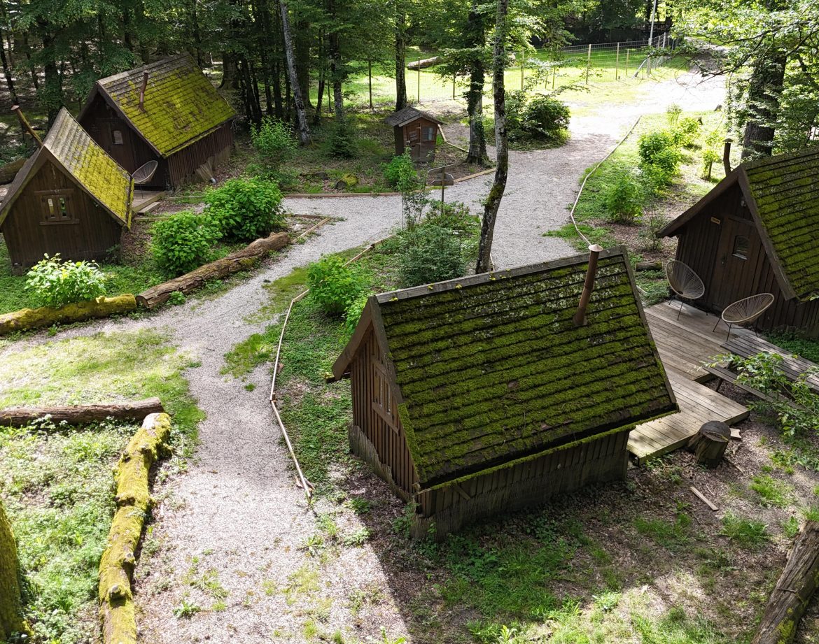 Hébergement insolite : cabanes en bois avec toits végétalisés, nichées en pleine forêt.