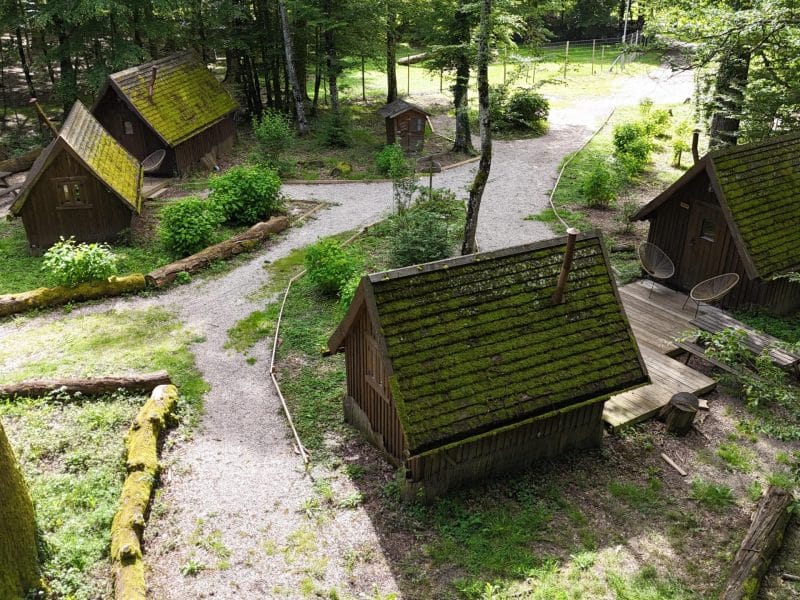 Hébergement insolite : cabanes en bois avec toits végétalisés, nichées en pleine forêt.