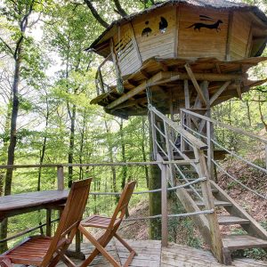 Cabane perchée dans les arbres, avec terrasse en bois et vue sur la forêt verdoyante.