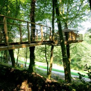 Cabane perchée dans les arbres, accessible par une passerelle en bois, entourée de verdure.