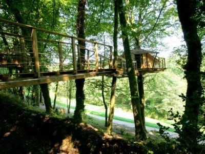 Cabane perchée dans les arbres, accessible par une passerelle en bois, entourée de verdure.