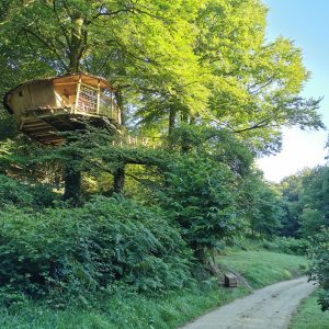 Cabane perchée dans les arbres, entourée de verdure, offrant une vue apaisante sur la nature.