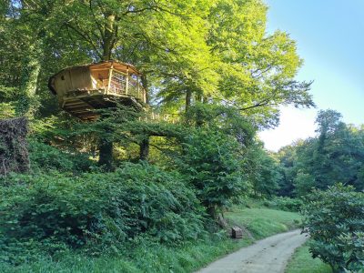 Cabane perchée dans les arbres, entourée de verdure, offrant une vue apaisante sur la nature.