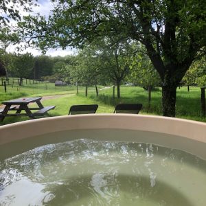 Bain nordique en pleine nature, entouré d'arbres verdoyants et d'un paysage apaisant.