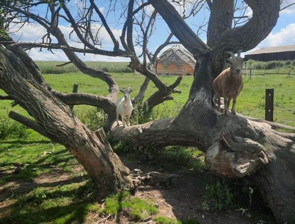 20220611_155719-scaled